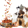 What type of pet food should I feed my dog and cat? Pros and cons of pet food formats